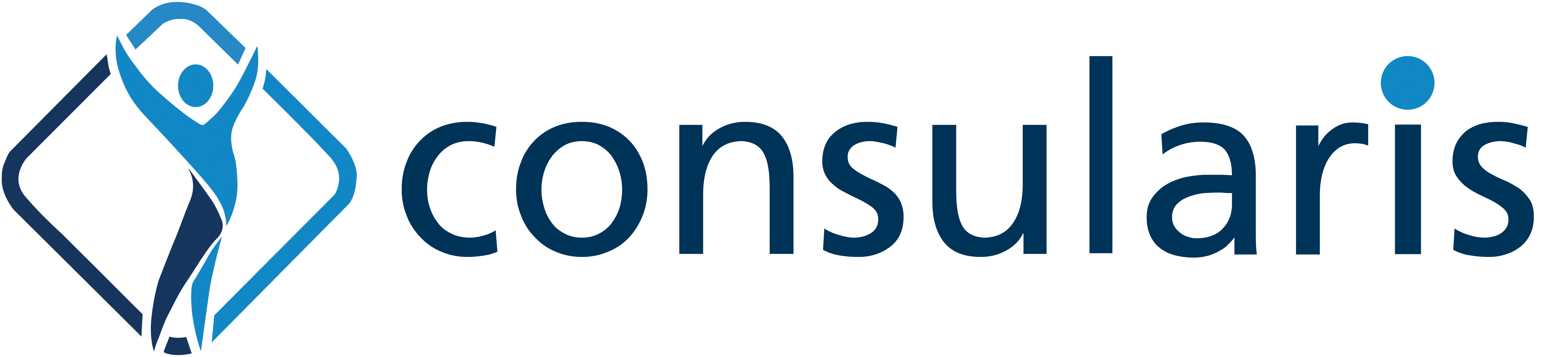 Consularis GmbH